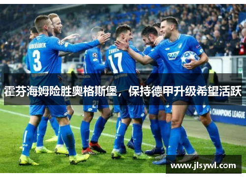 霍芬海姆险胜奥格斯堡,保持德甲升级希望活跃 霍芬海姆险胜奥格斯堡,保持德甲升级希望活跃